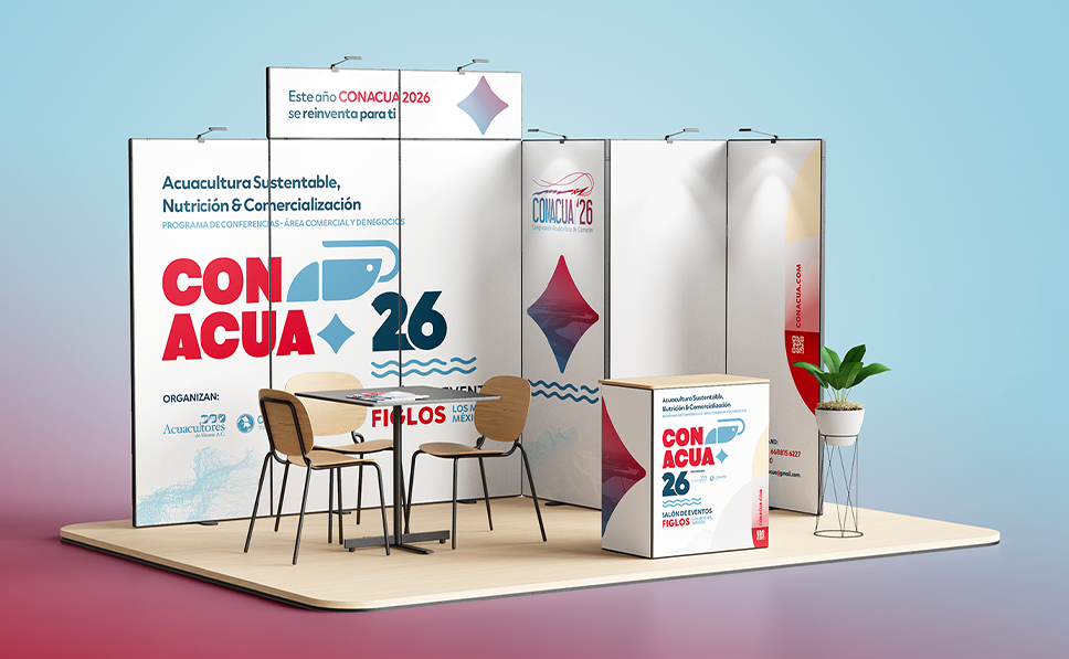 11a edición