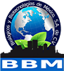 BBM