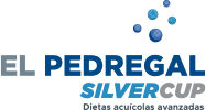 Pedregal