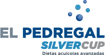 PEDREGAL